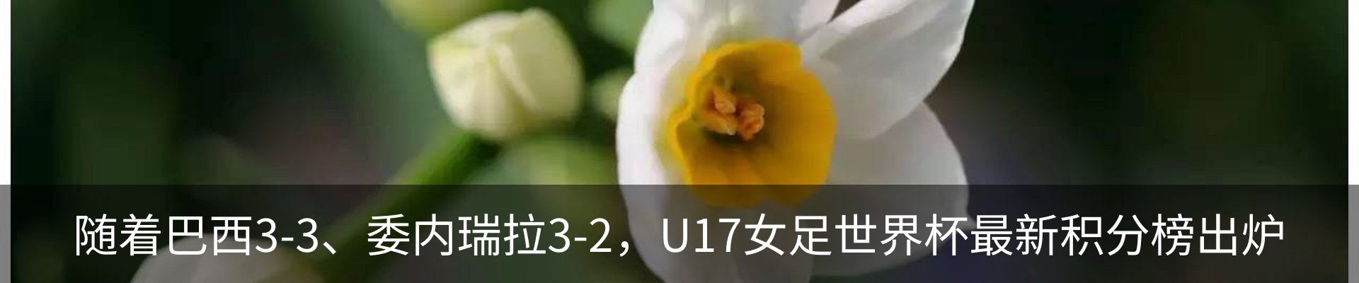 资讯动态